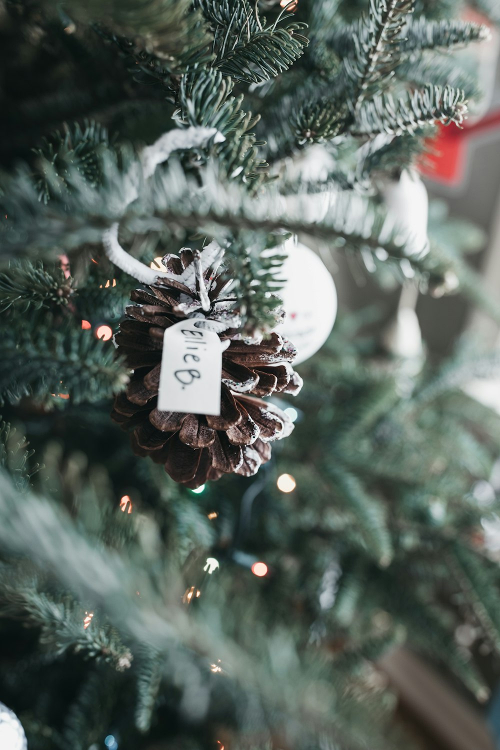 bauble and pinecone on tree