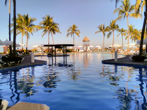 Outdoor pool with crystal clear water surrounded by palm trees and sunbeds.