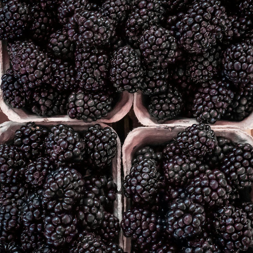 black berries