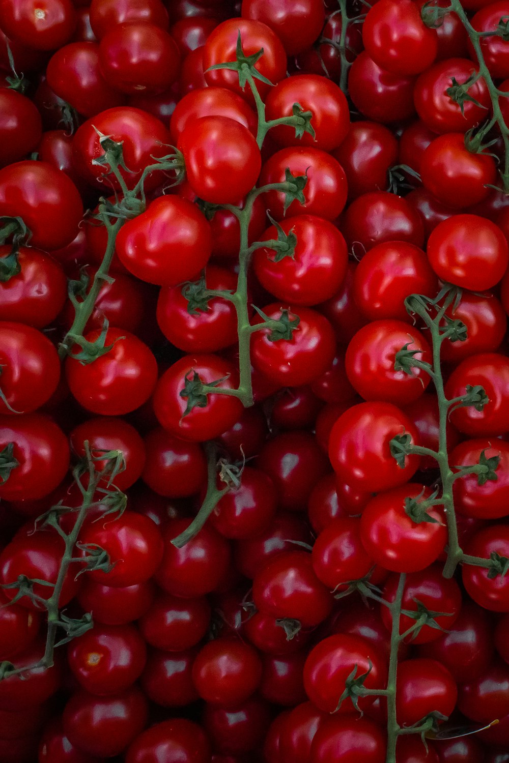 Haufen roter Tomaten