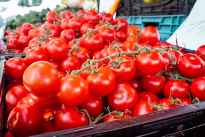 A large pile of ripe red tomatoes is stacked on a market counter. The tomatoes are shiny and round, with some still attached to their vines. In the background, there are blurred images of other vegetables, indicating a bustling market environment.