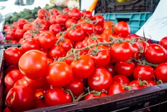 A large pile of ripe red tomatoes is stacked on a market counter. The tomatoes are shiny and round, with some still attached to their vines. In the background, there are blurred images of other vegetables, indicating a bustling market environment.