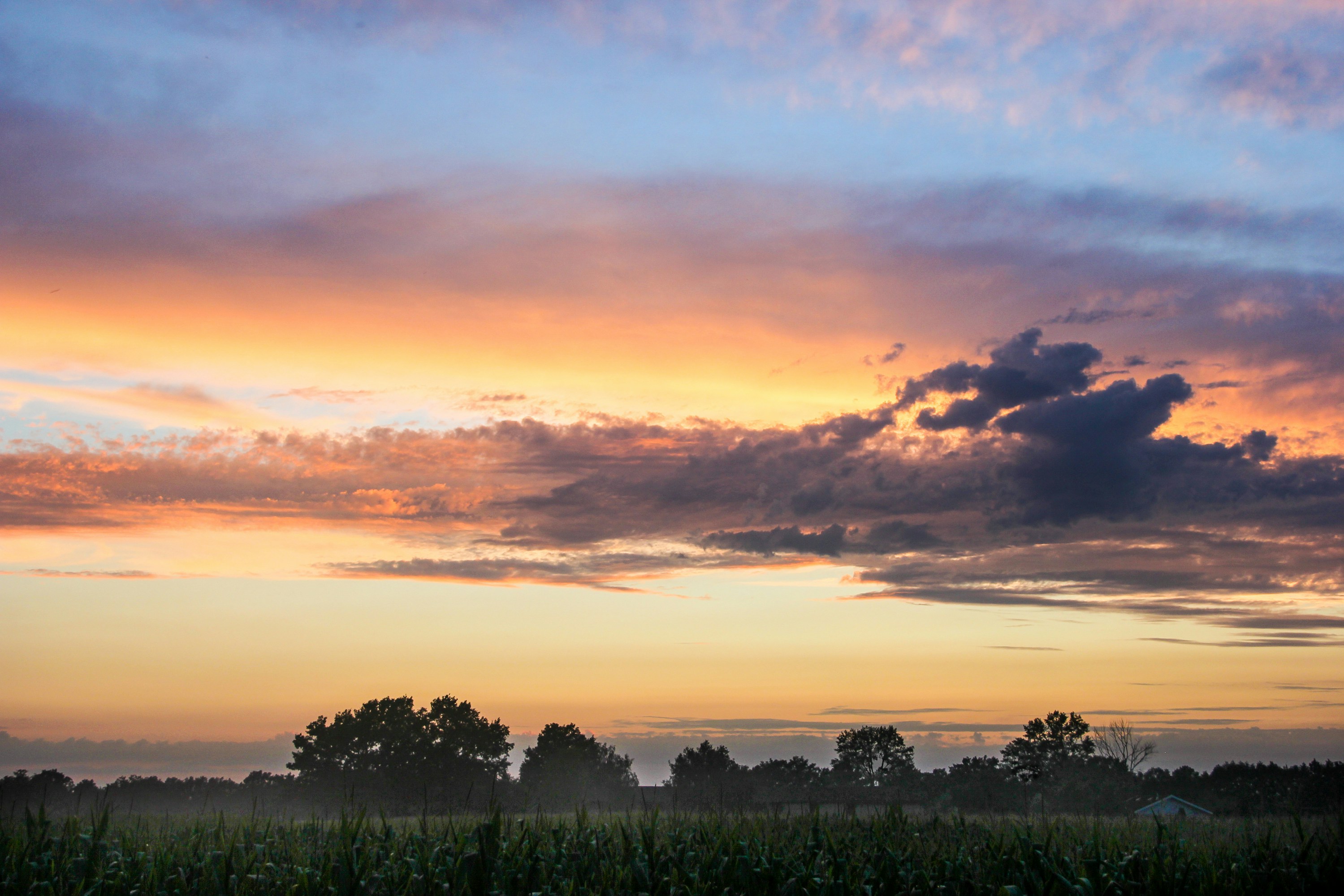 Photo by nelsoncinematic