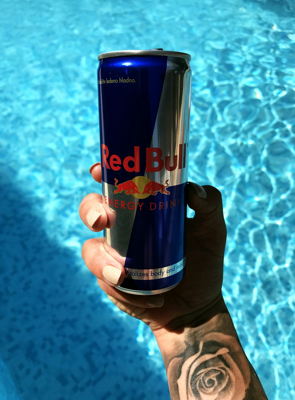 Red Bull Energy Drink Can Photo Free Human Image On Unsplash