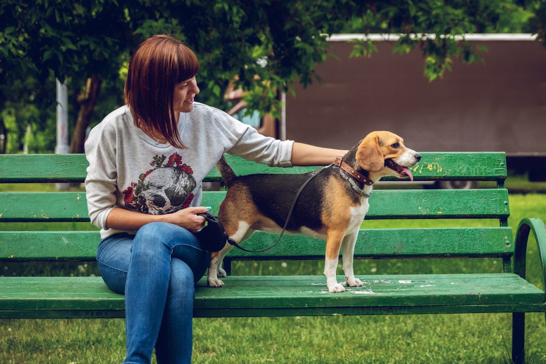 woman sitting on bench near tri-color beagle