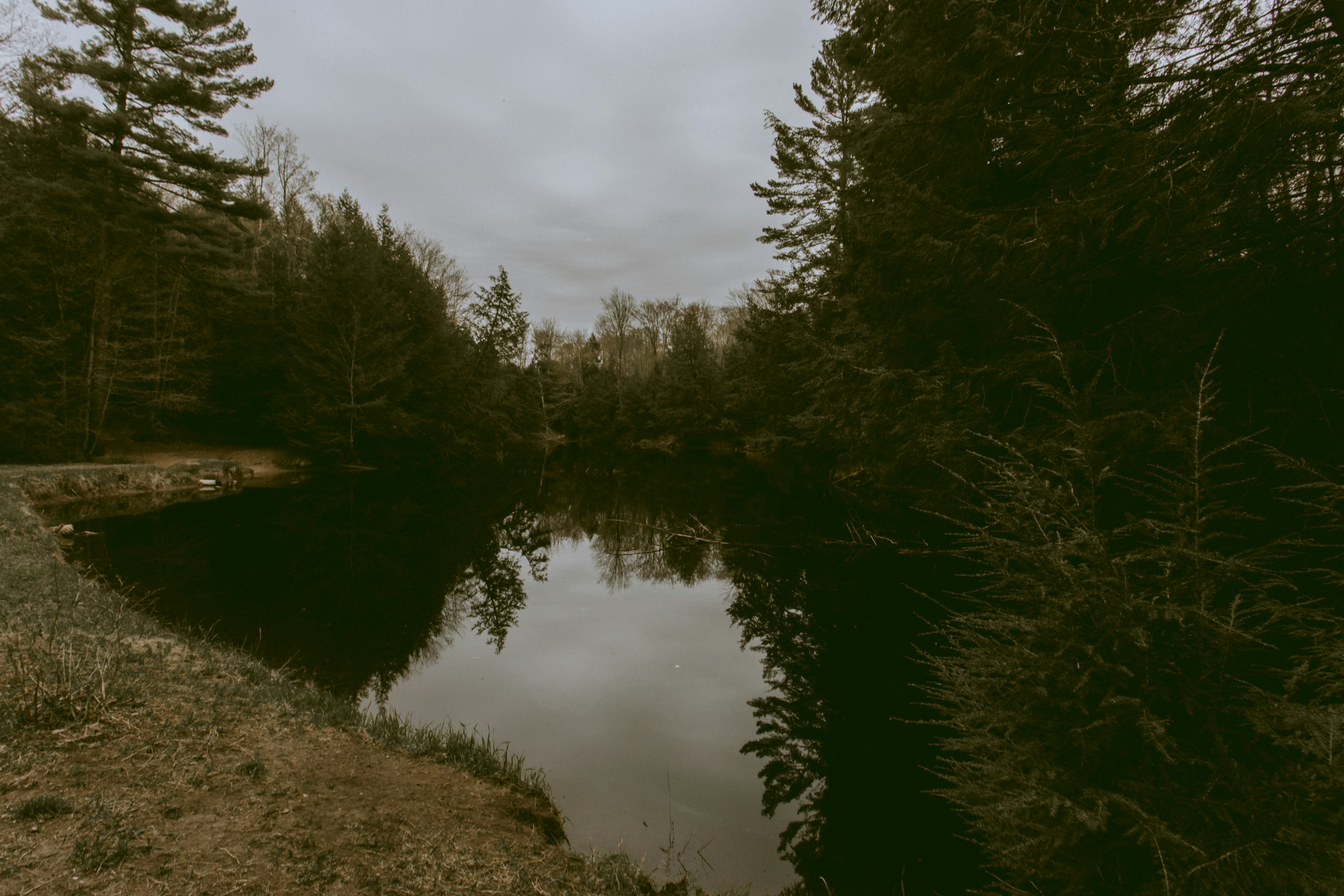 Photo by natashareddy