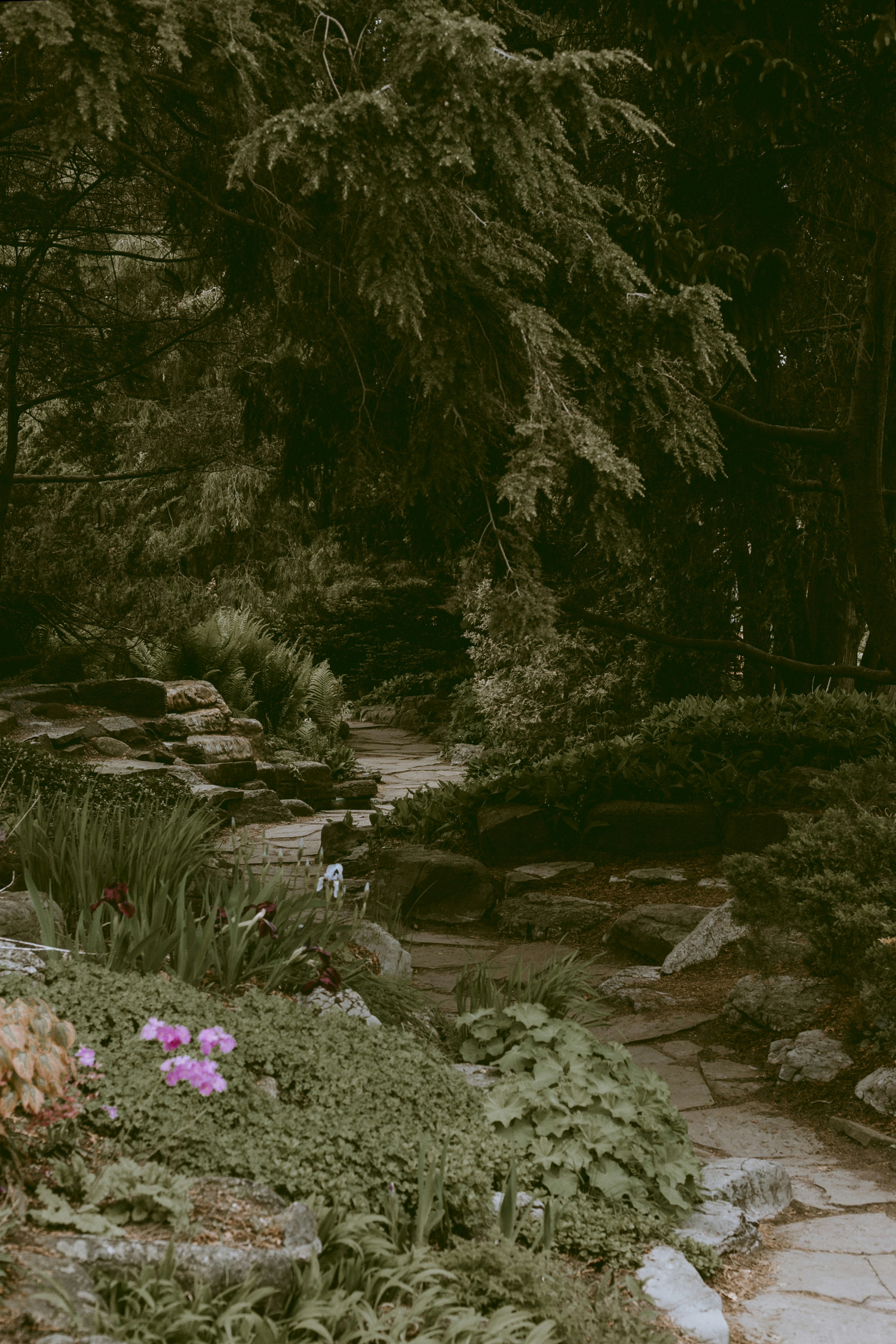 Photo by natashareddy