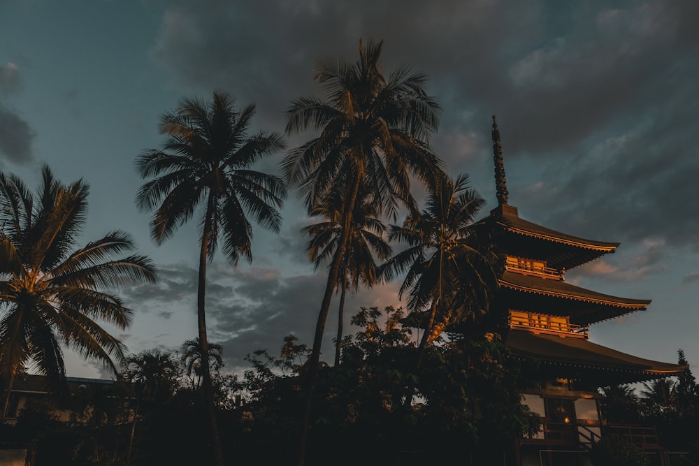 photography of pagoda building beside coconut palm trees during nighttime