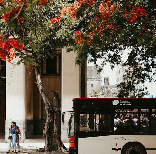 bus beside road