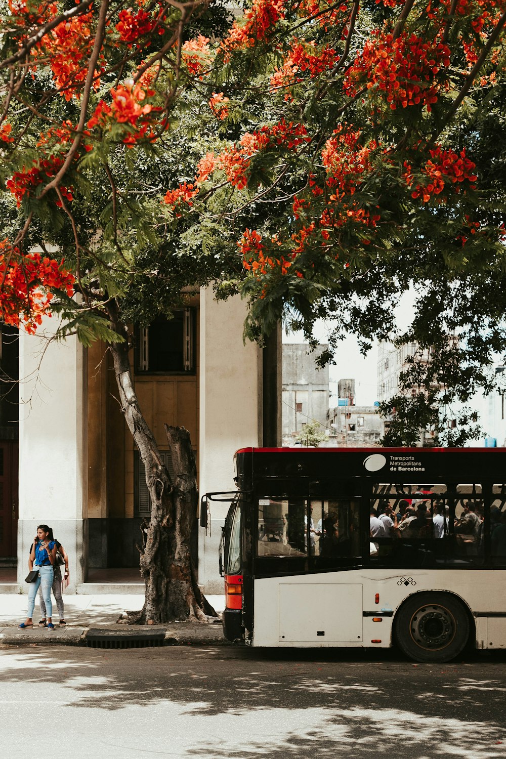 autobus lungo la strada