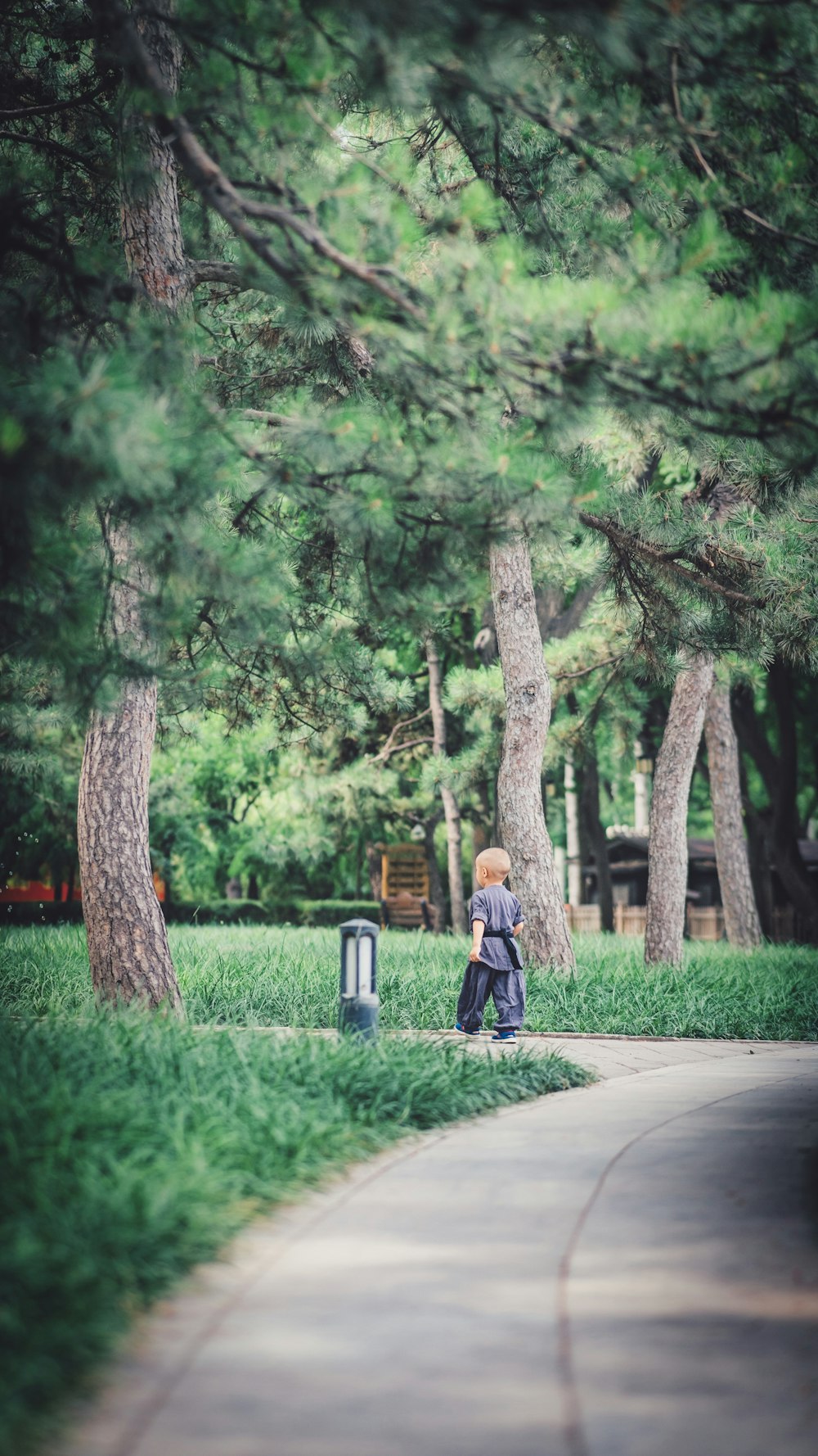 kid walking in a concrete road near trees during daytime