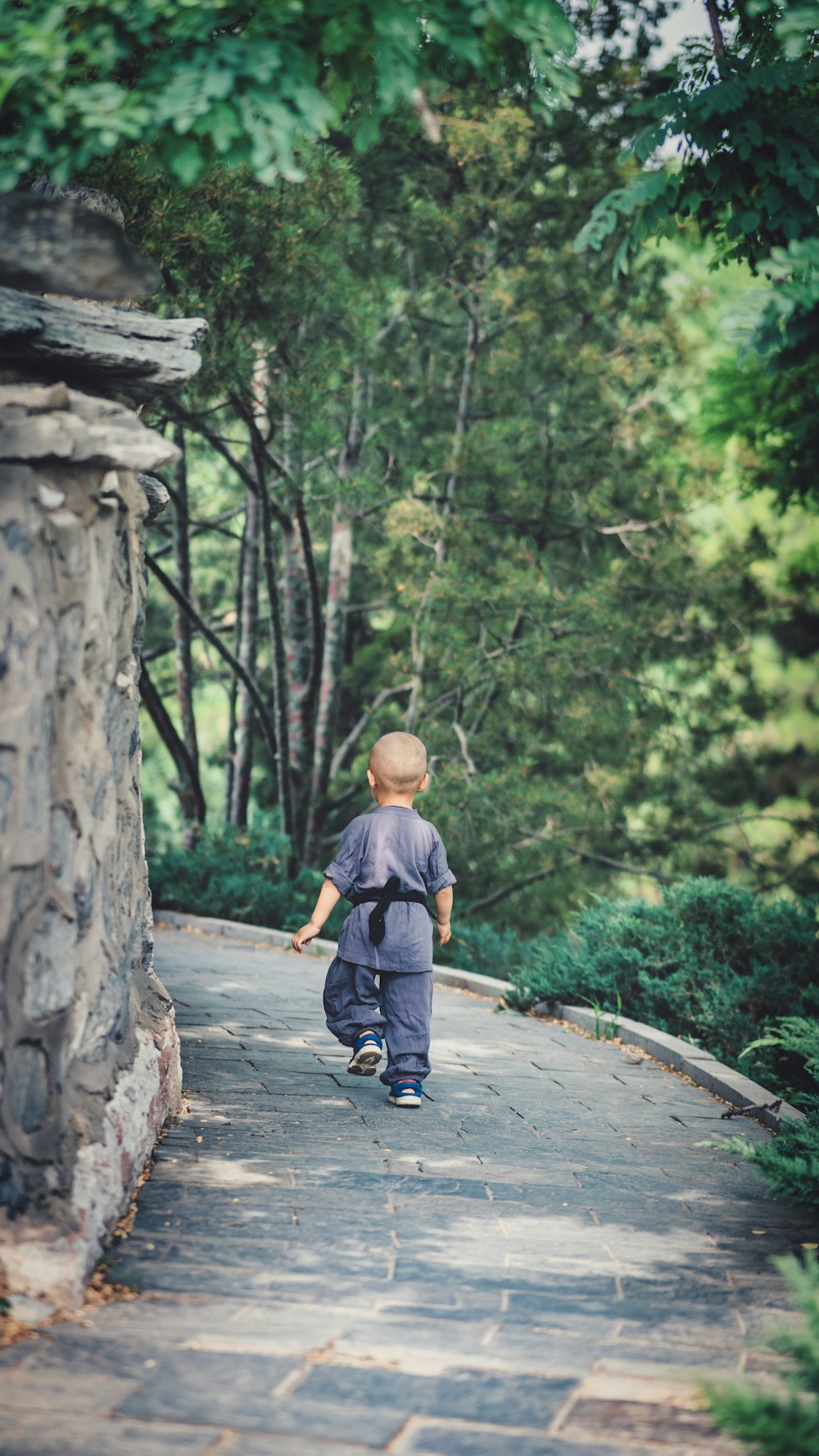 toddler walking near trees