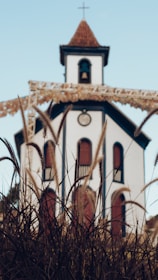 A white church with red doors and a bell tower partially obscured by tall grass, set against a clear blue sky.