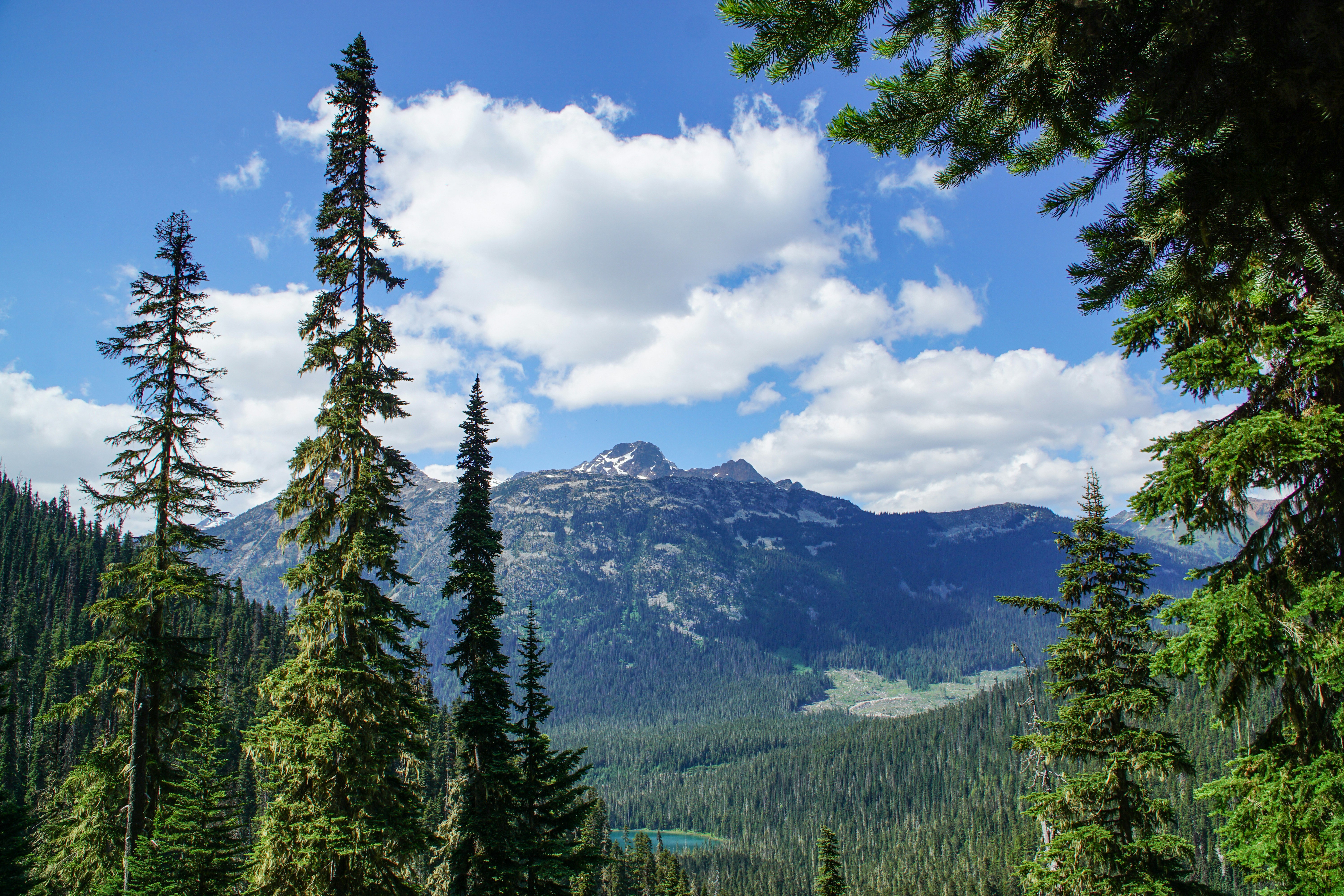 June 17, 2025 - Release of the FireSmart Canada Residential Development Guide: Best Practices for Planning, Design, and Construction