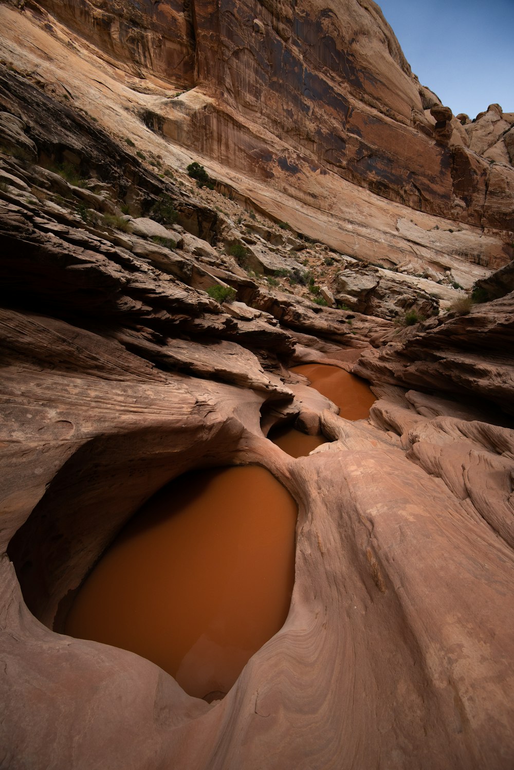 brown rock formation