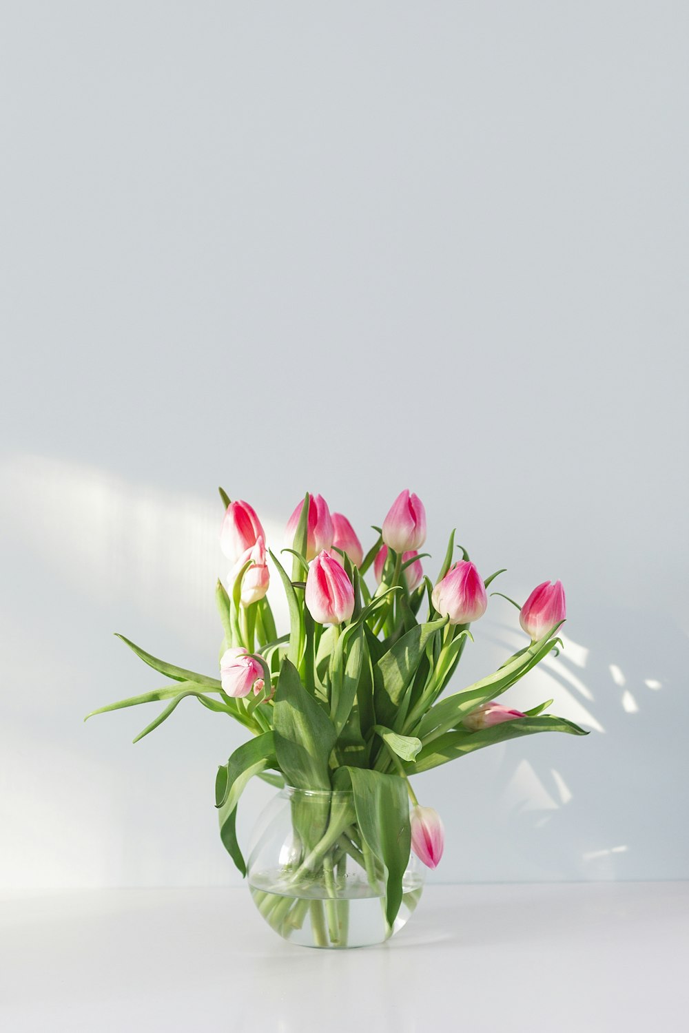 fleurs roses dans un vase