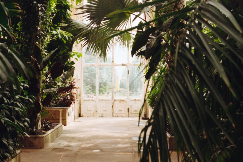 uma sala cheia de plantas ao lado de uma janela