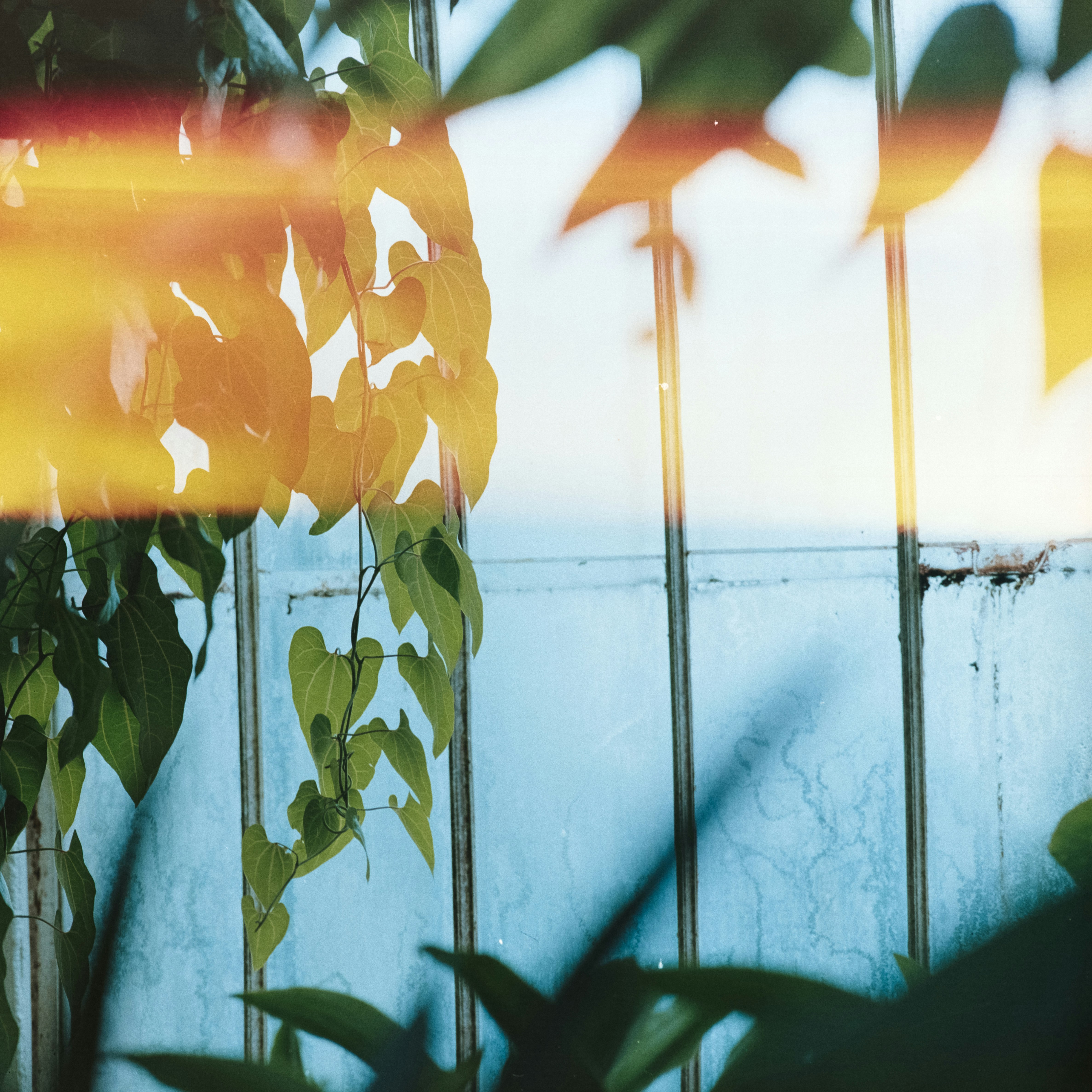 Mechas y balayage realizados con técnica experta