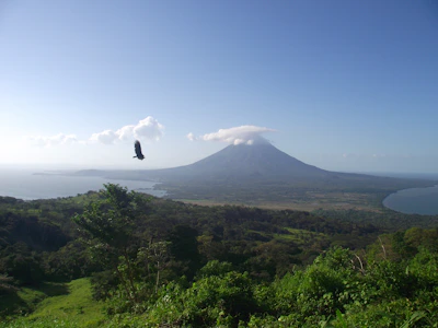 The volcanic landscape and lush greenery of Ometepe Island seen from a lookout.