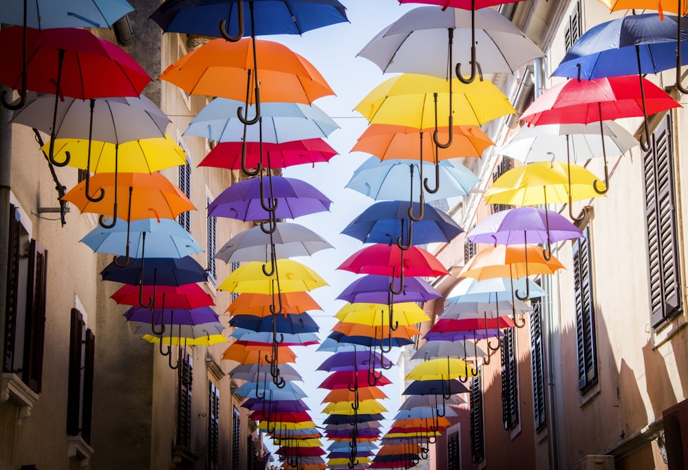 guarda-chuvas pendurados no beco