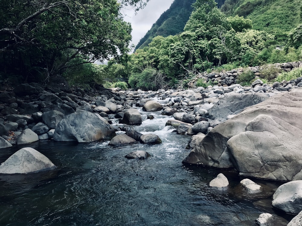 rocks at the river during daytime