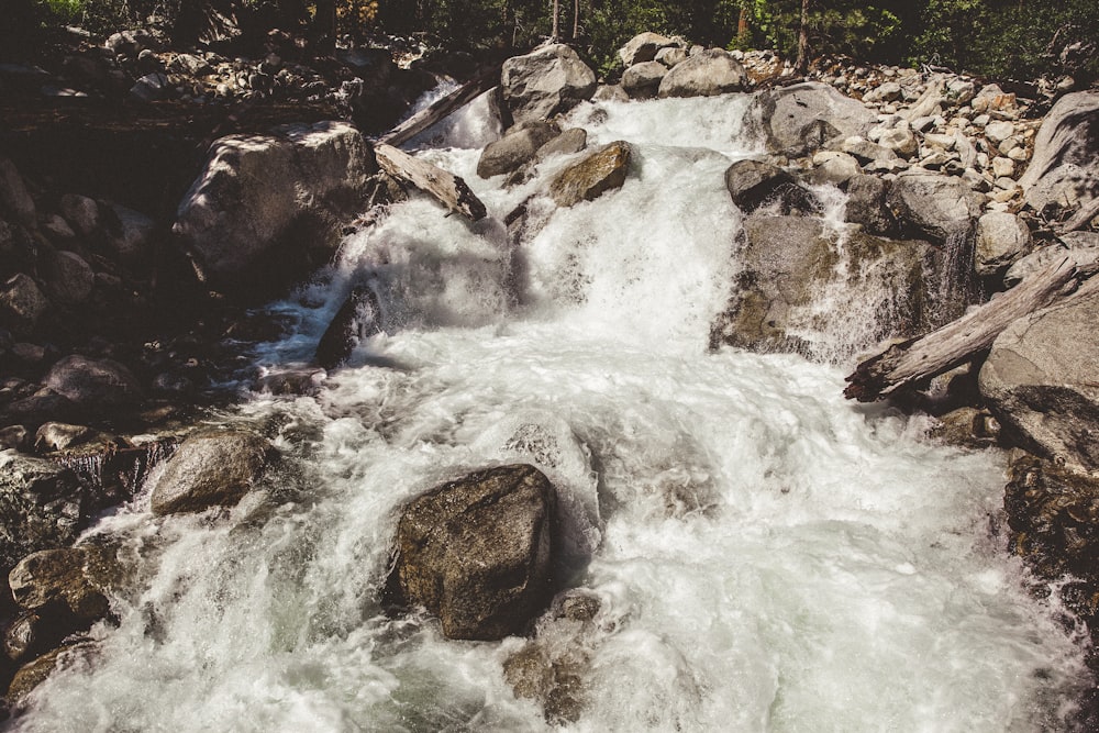 Fotografía de lapso de tiempo de río durante el día