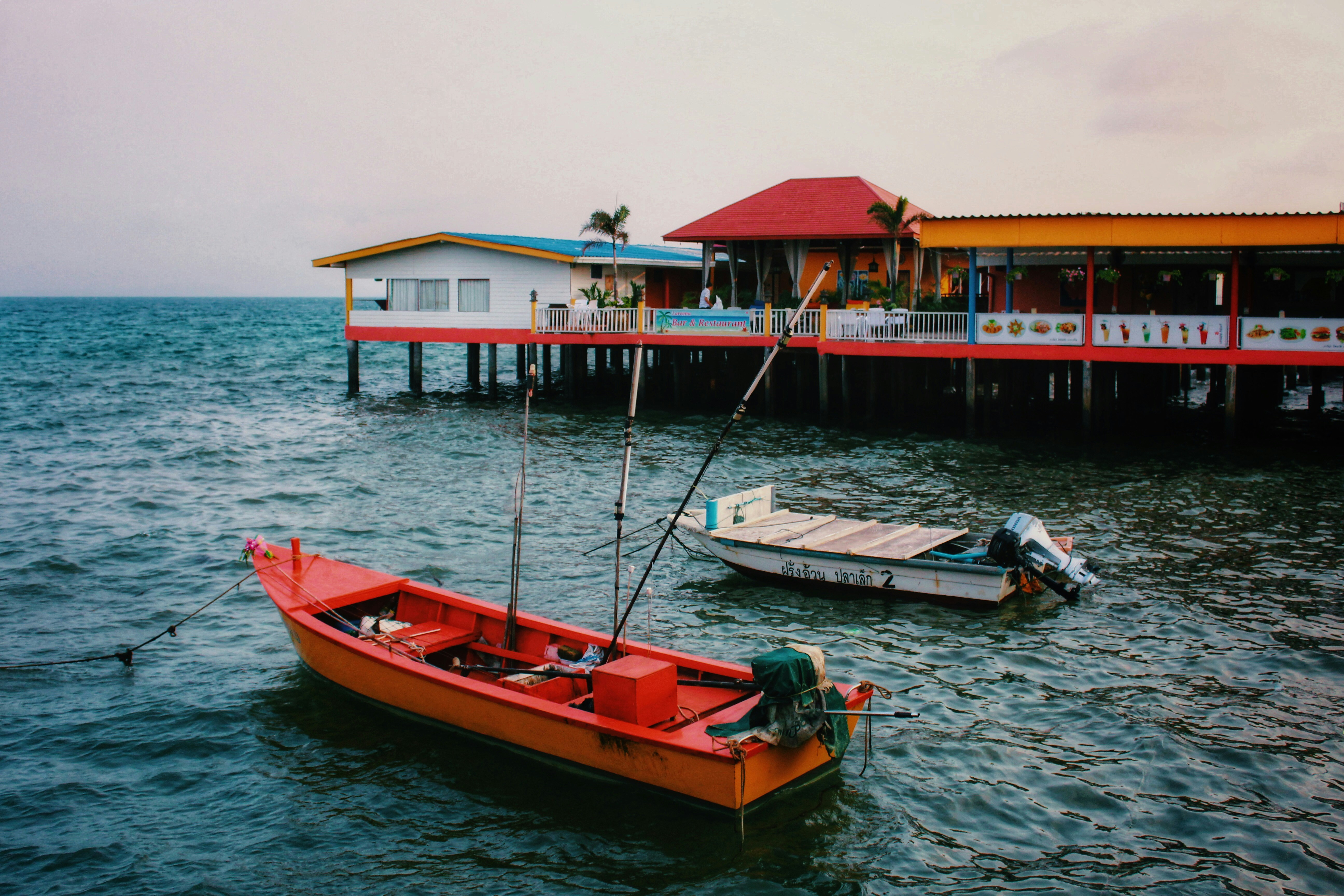 Photo by aserusainhuu