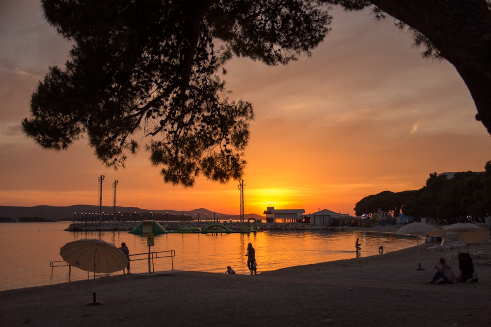 silhouette of person standing near body of water during daytime