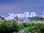 white-and-blue buildings near green trees