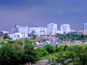 white-and-blue buildings near green trees