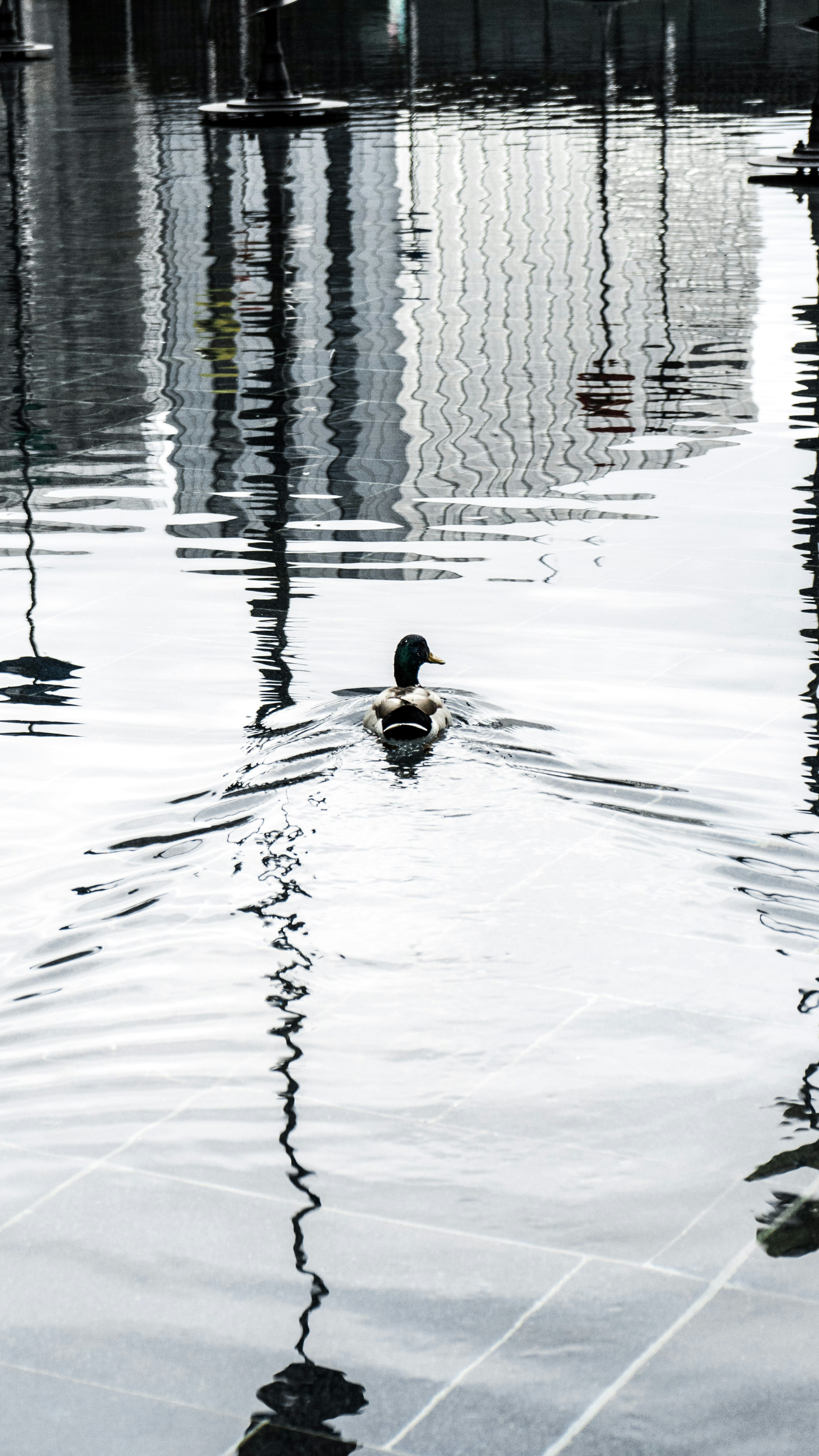 Photo by virussinside