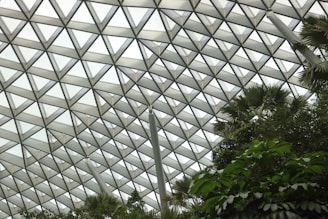 A geometric glass ceiling composed of triangular panels with natural light filtering through. Below, lush green vegetation creates a contrast with the structured design of the roof, giving a harmonious blend of nature and architecture.