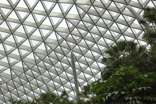 A geometric glass ceiling composed of triangular panels with natural light filtering through. Below, lush green vegetation creates a contrast with the structured design of the roof, giving a harmonious blend of nature and architecture.