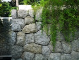 A sturdy stone retaining wall hugging a sloped garden with vibrant greenery.