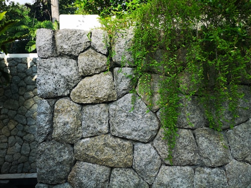 A natural stone wall constructed from large, unevenly shaped grey rocks. Lush green foliage cascades down the wall, contrasted by nearby green plants and trees.