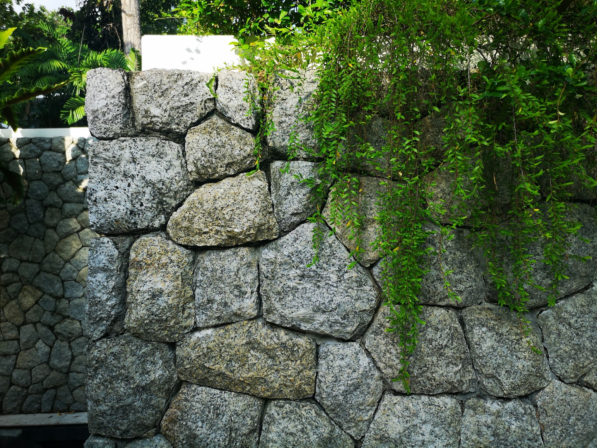 woman wearing yellow long-sleeved dress under white clouds and blue sky during daytime