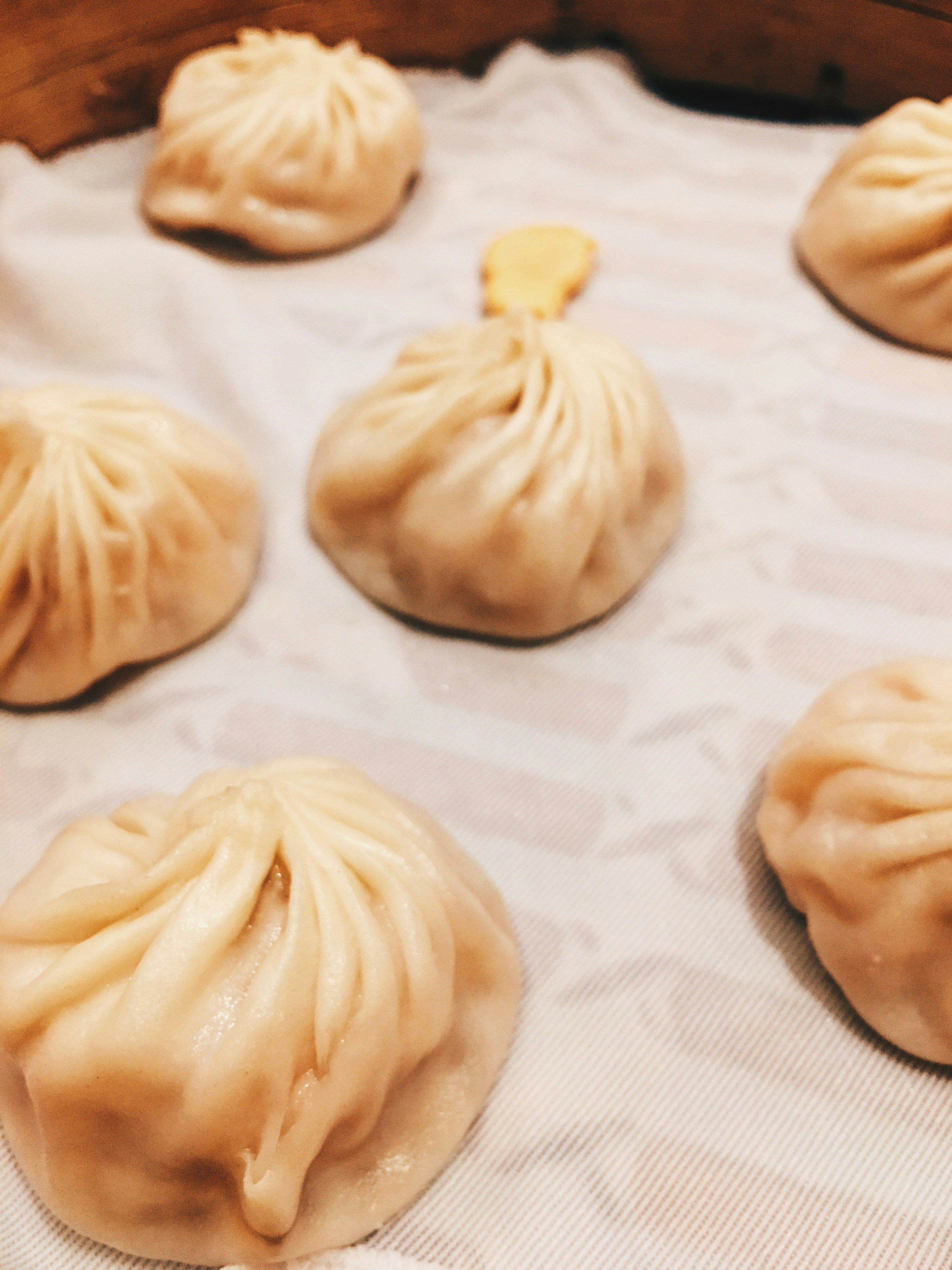 dumplings image