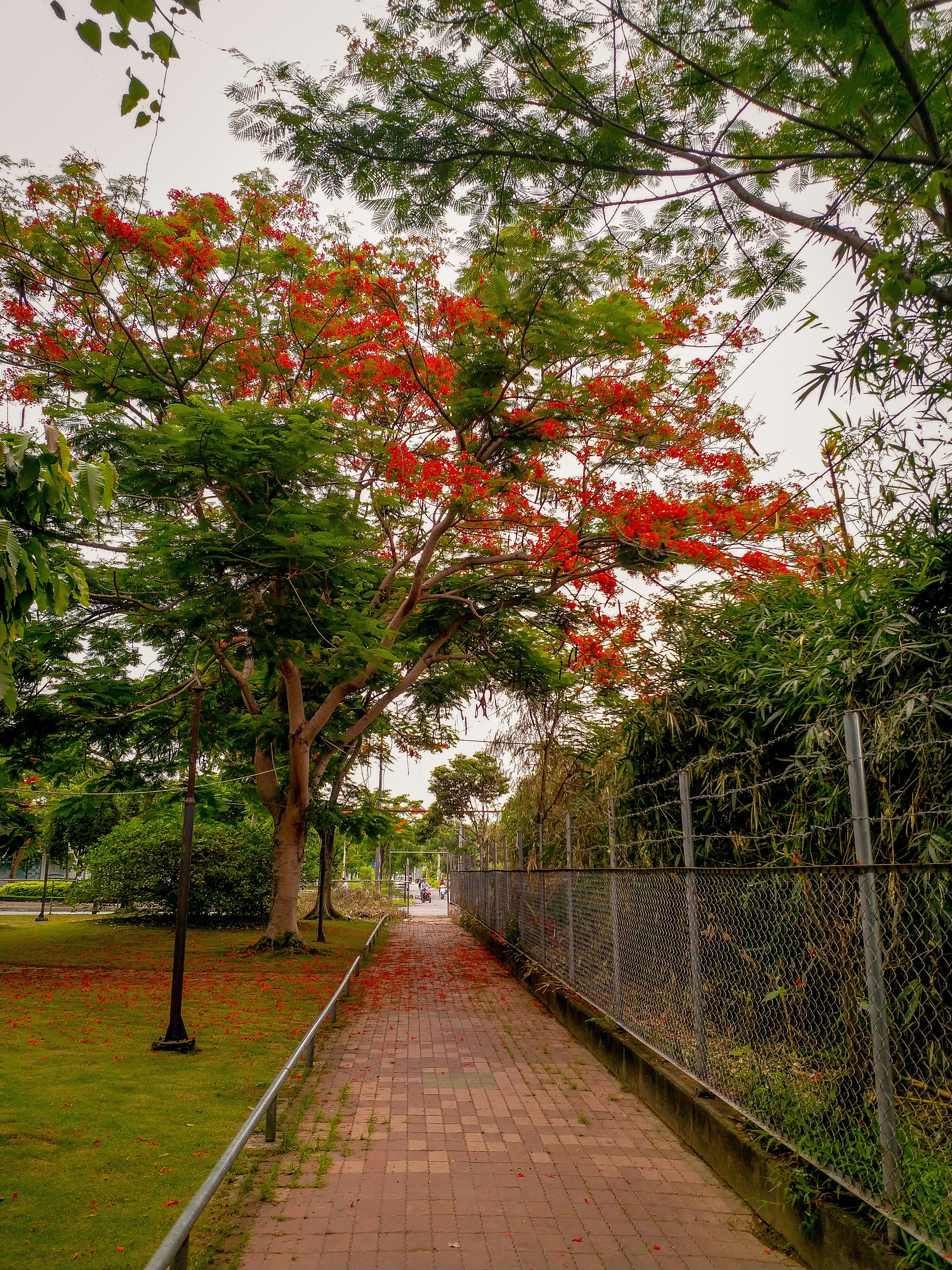 Photo by thanhliem178