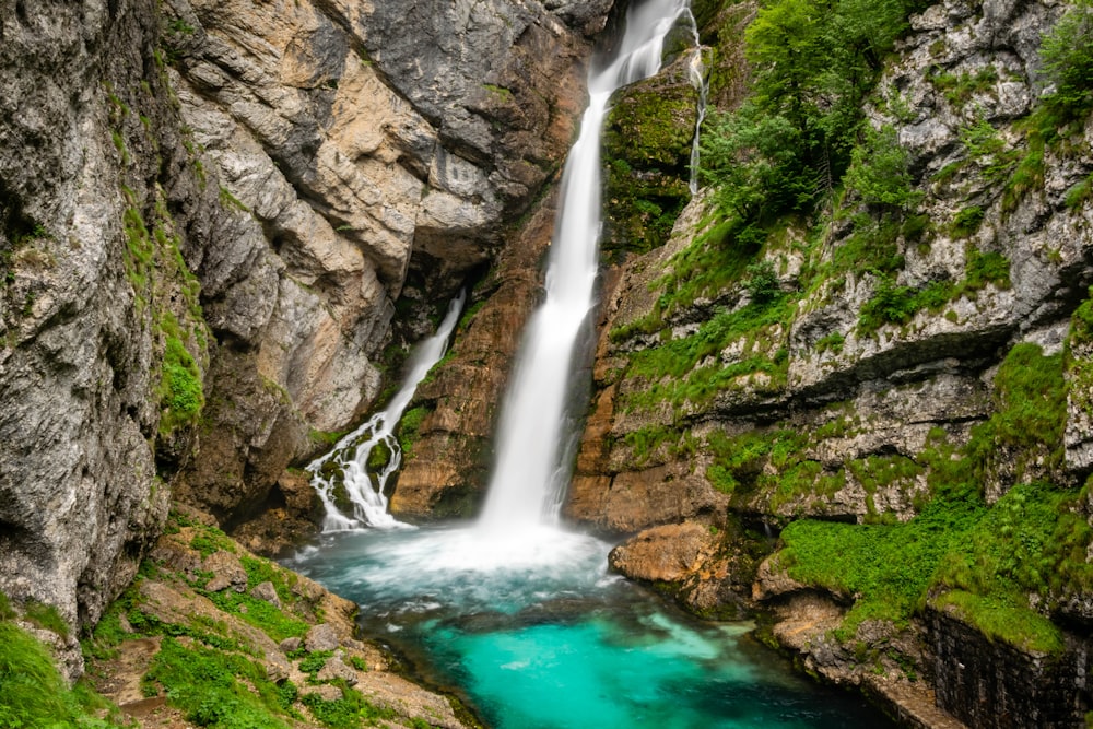 waterfall and green trees