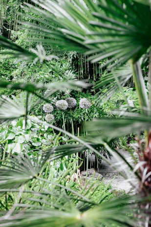 A lush tropical garden filled with vibrant flowers and greenery.