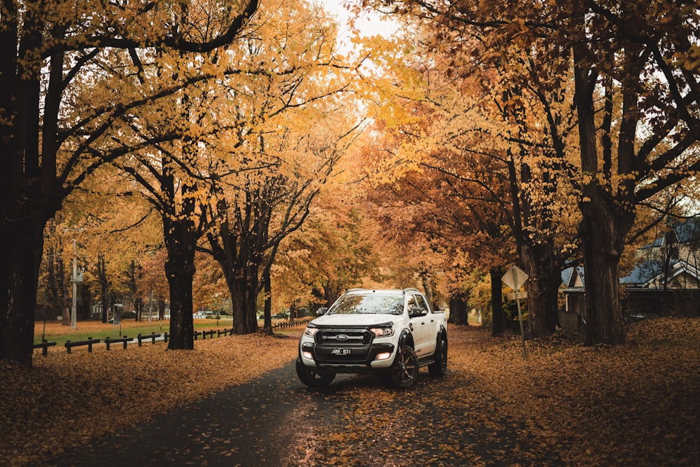 white crew cab pickup truck