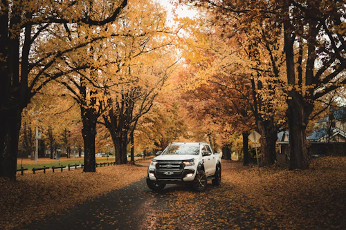 Delivery pickup truck