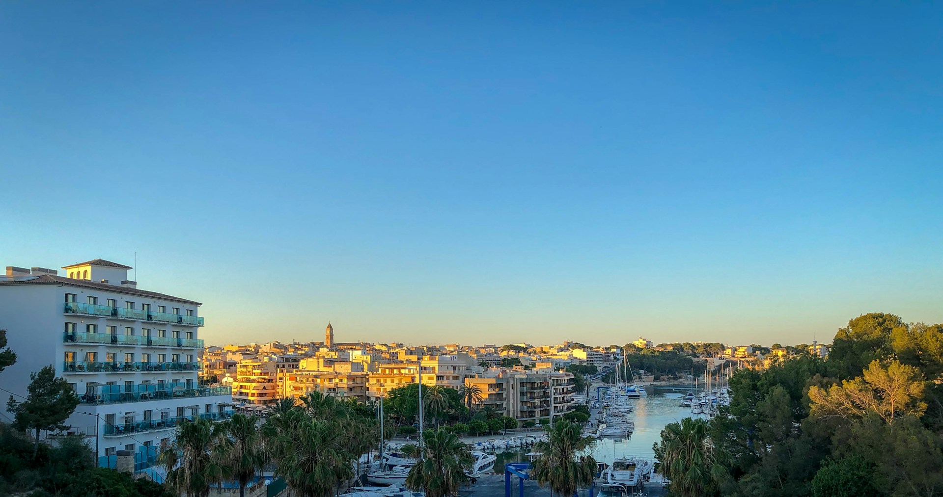 A panoramic view from a balcony showing the vibrant Marina del Rey harbor with sailboats, palm trees, and a clear blue sky.
