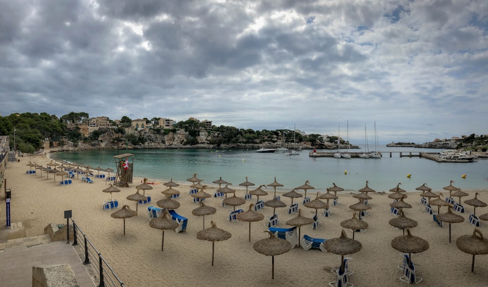 beach umbrella on shore