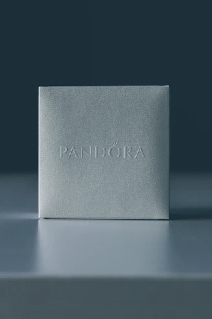 Minimalist linen album box with delicate texture and a sleek magnetic closure, resting on a white surface.