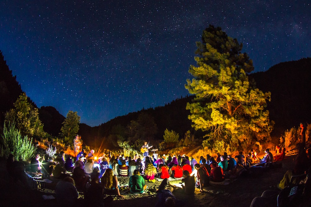 crowded people beside green pine tree