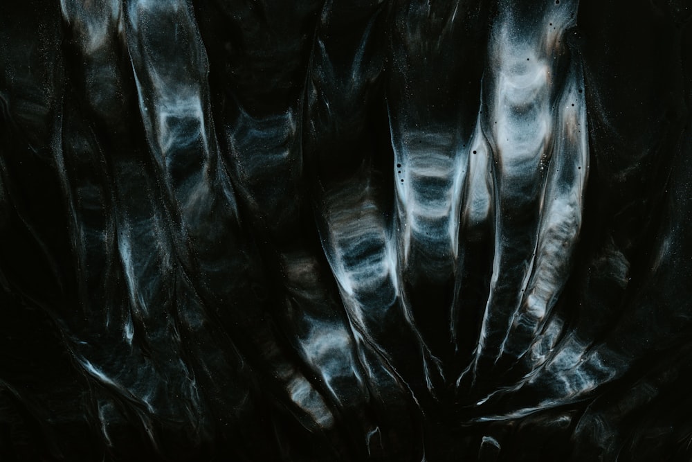 a black and white photo of a bunch of feathers