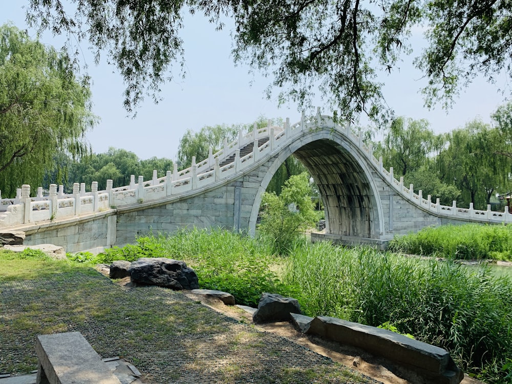 Puente cerca del jardín