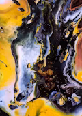 Museum-Quality Art at Home: How to Start Collecting