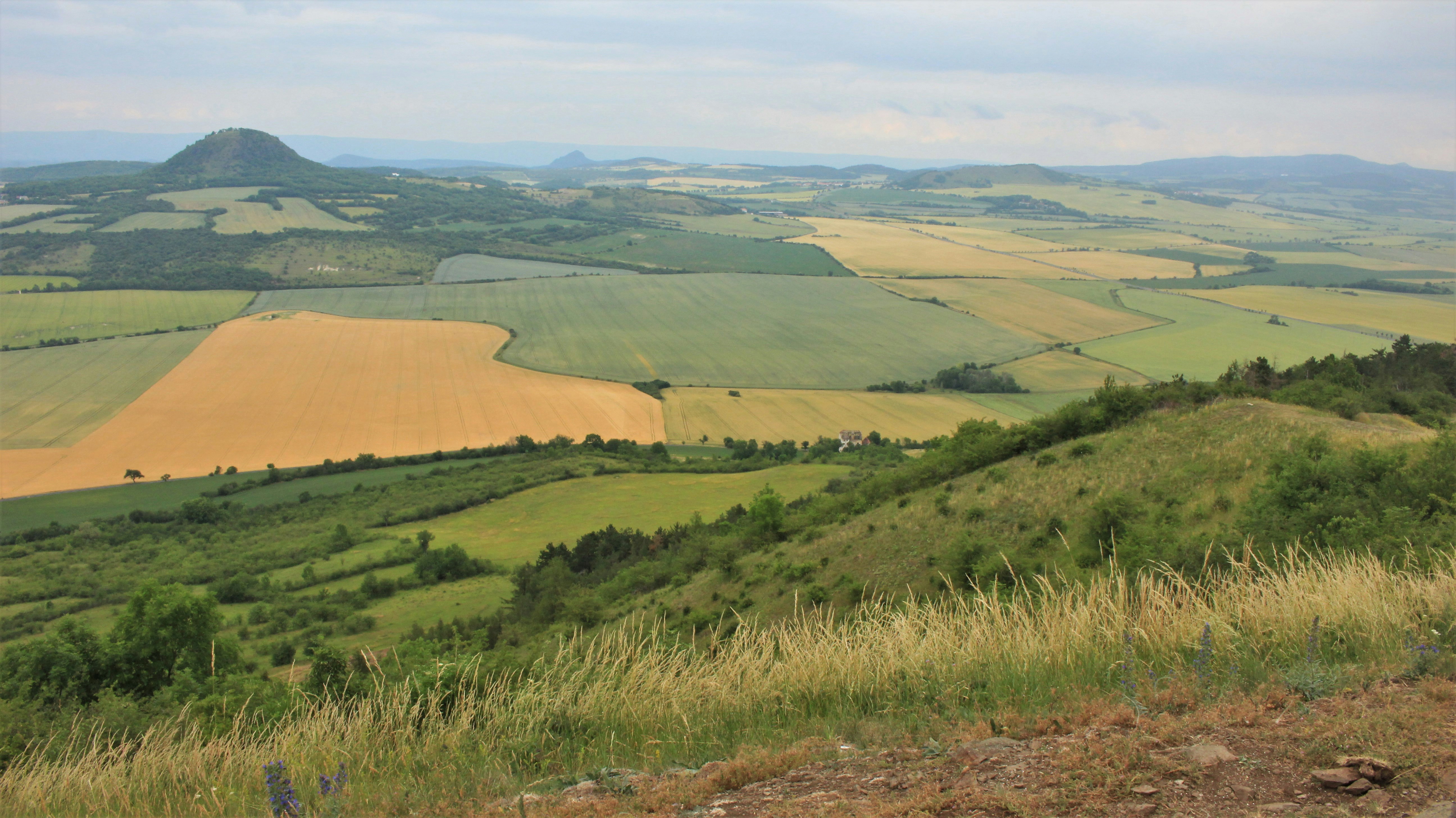 Photo by marjorylucabaxter